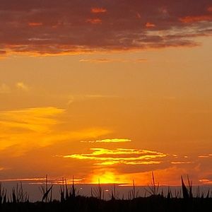 Meet your Posher, Derrick